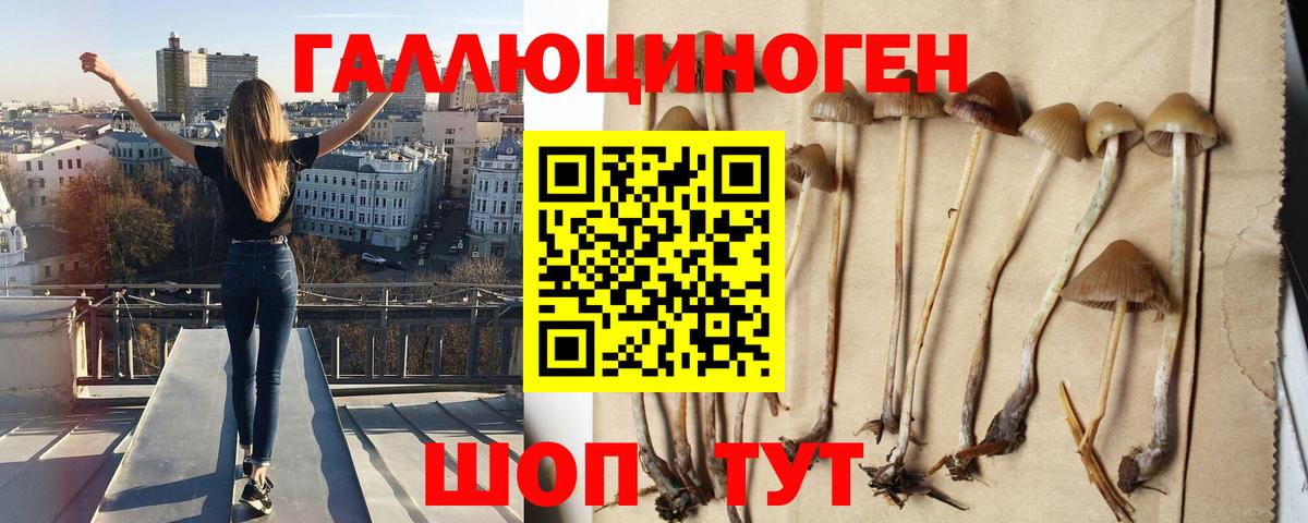 Ревда  Псилоцибиновые грибы GOLDEN TEACHER  Вход с VPN 