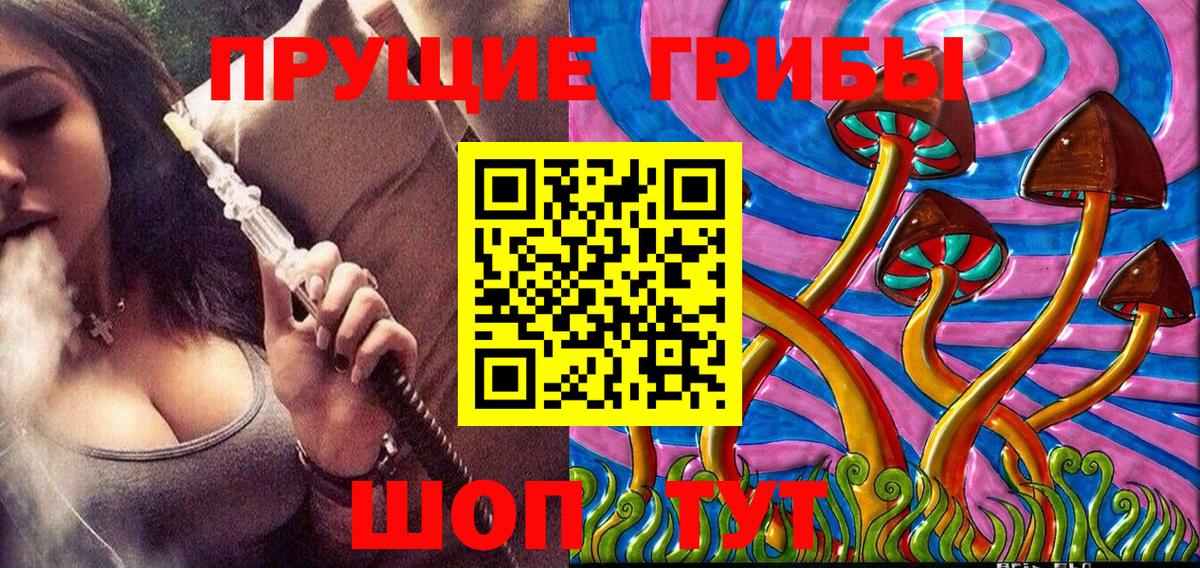 Псилоцибиновые грибы MAGIC MUSHROOMS Ревда